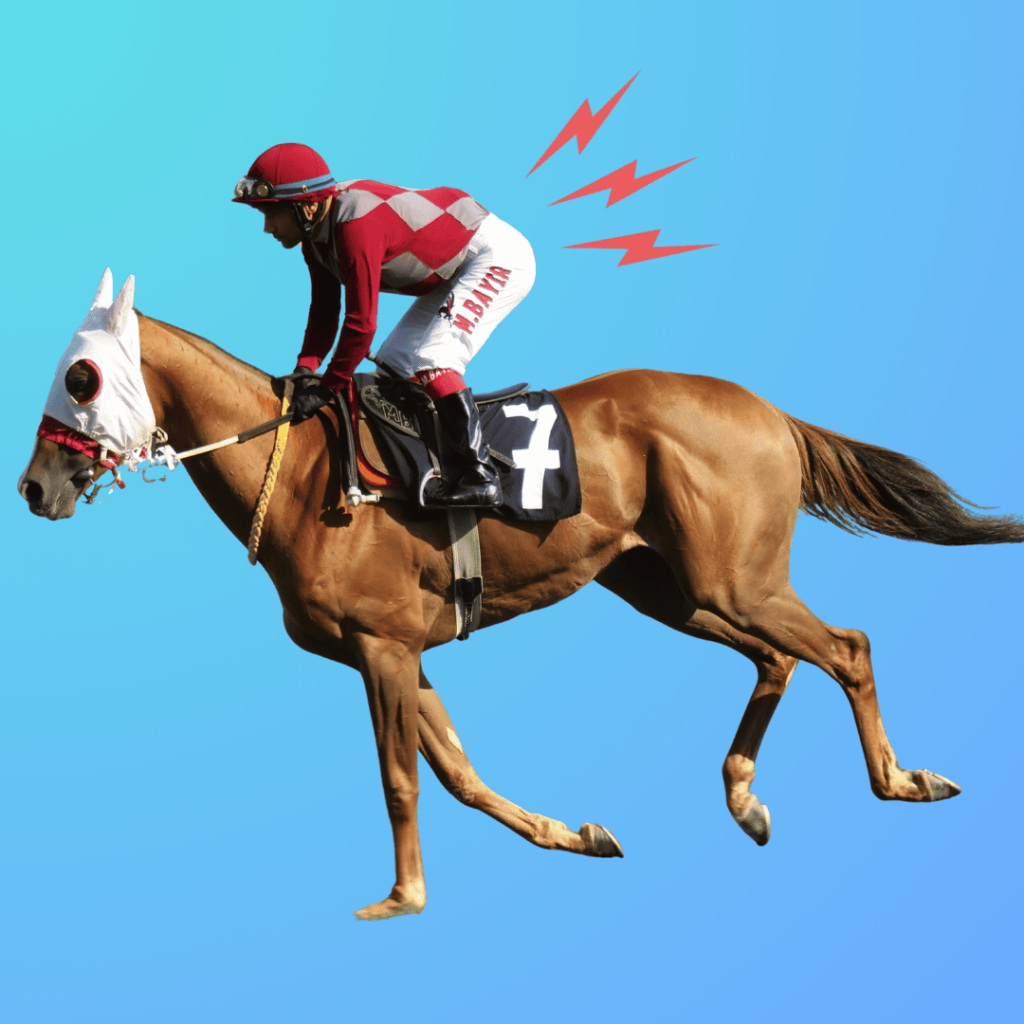 腰痛 乗馬 競走馬